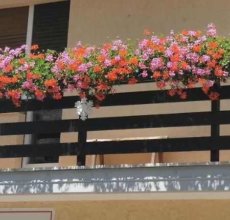 فندق Fiocco Di Neve تارفيسيو المظهر الخارجي الصورة
